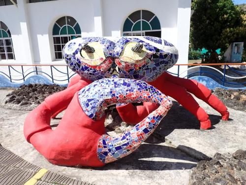 crab art