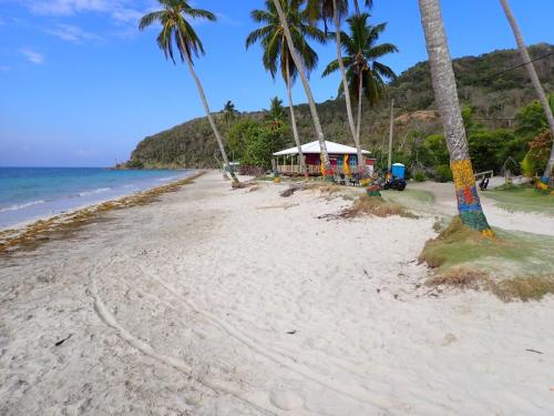 empty-beach-1